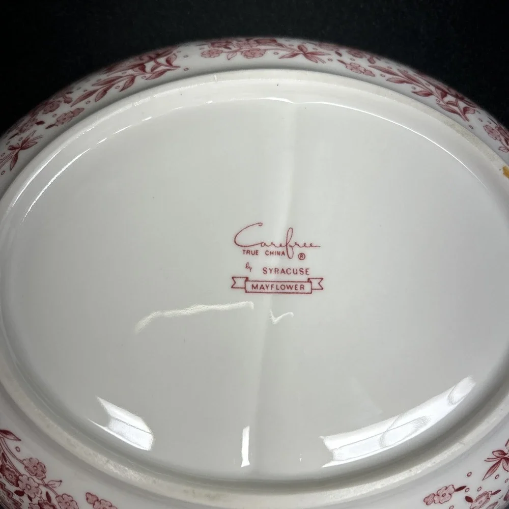 Vtg Syracuse Mayflower Divided Dish Bowl Carefree True China Red Floral #055
